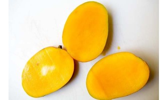 فوائد المانجو للرضع