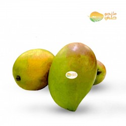  مانجو زبده كرتون 4 كيلو
