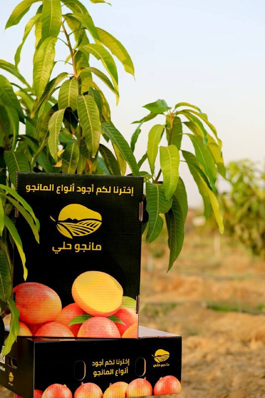 صور من مزارعنا