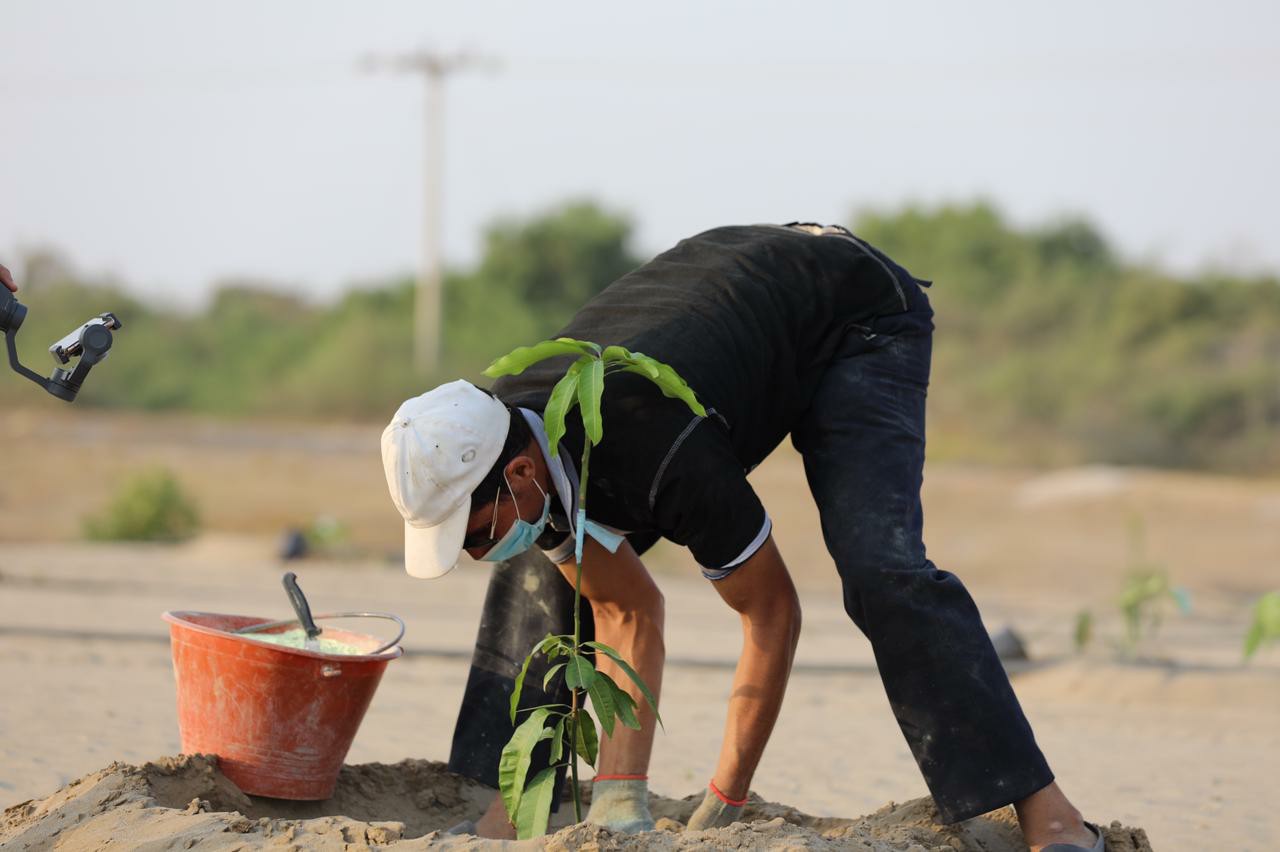 صور من مزارعنا