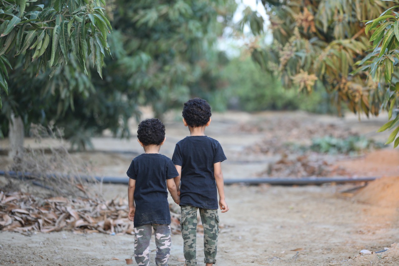 صور من مزارعنا