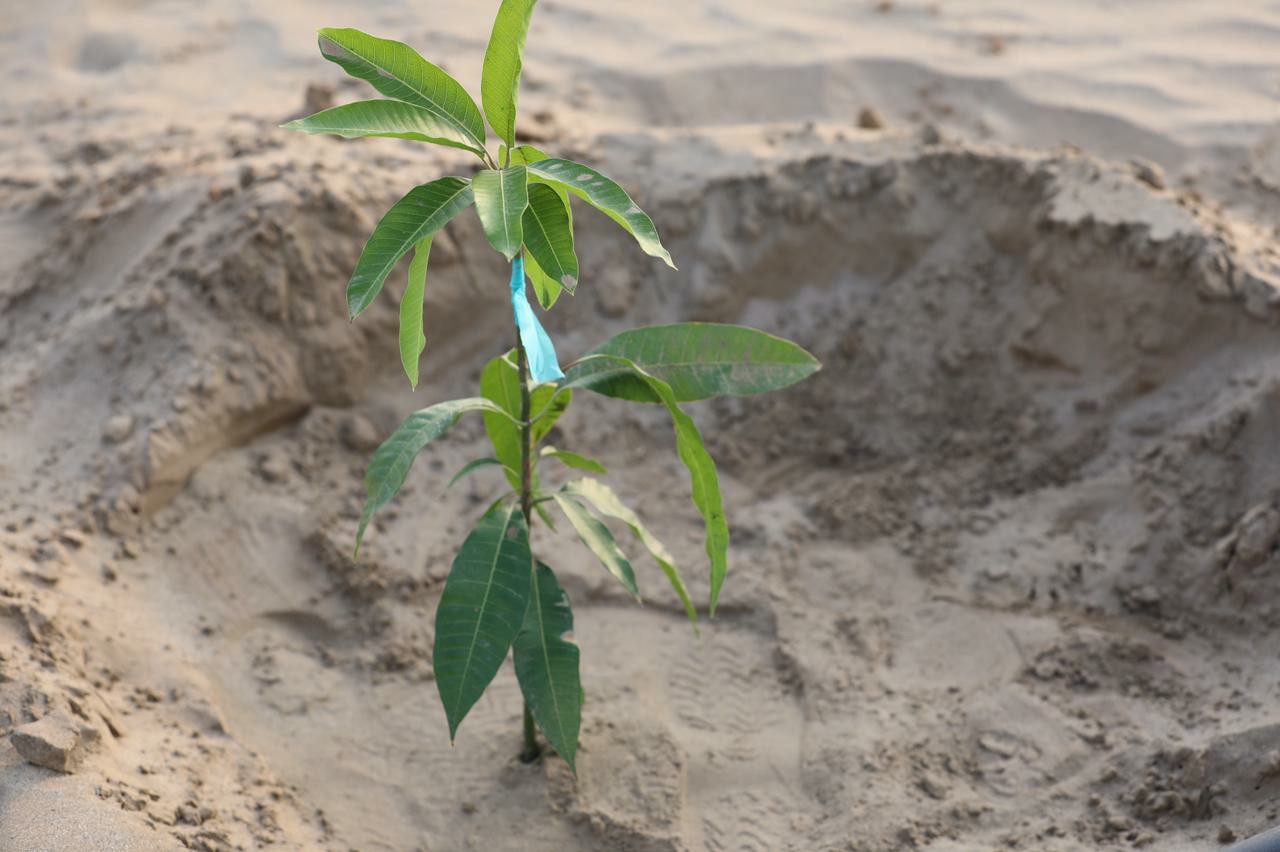 صور من مزارعنا