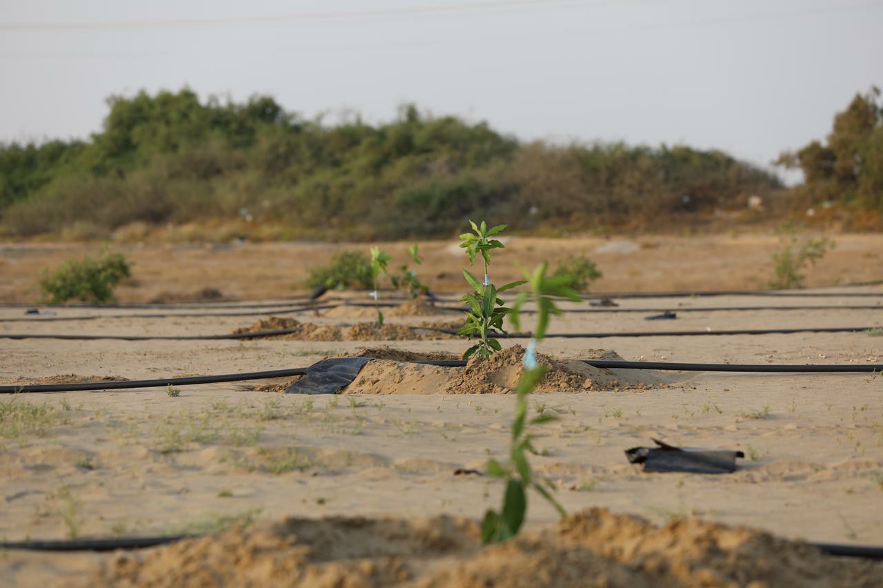 صور من مزارعنا