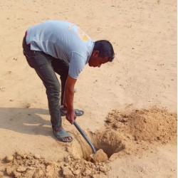 استشارات زراعية