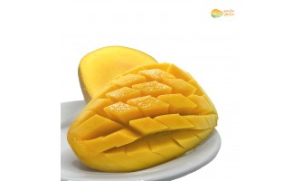 مانجو لانجرا