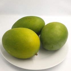 مانجو كيت كرتون 5 كيلو مانجو كيت كرتون 5 كيلو