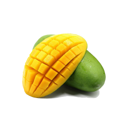 شتلة مانجو هندي